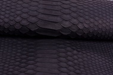 Piton yılan derisi deri arka plan, yılan derisi, doku, hayvan, sürüngen