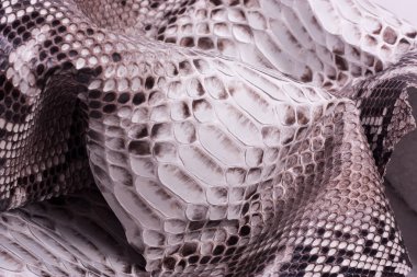 Piton yılan derisi deri arka plan, yılan derisi, doku, hayvan, sürüngen