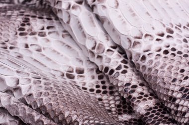 Piton yılan derisi deri arka plan, yılan derisi, doku, hayvan, sürüngen