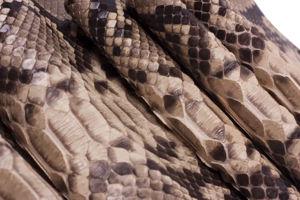 Piel de serpiente Python fondo, piel de serpiente, textura, animal, reptil —  Fotos de Stock