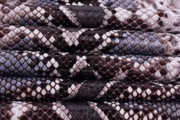 Python snakeskin leather background, snake skin, texture, animal, reptile — Stock Photo, Image