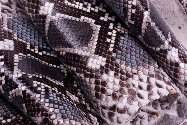 Шкіряний фон зі змій Python, шкіра змій, текстура, тварина, рептилія — стокове фото