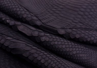 Piton yılan derisi deri arka plan, yılan derisi, doku, hayvan, sürüngen