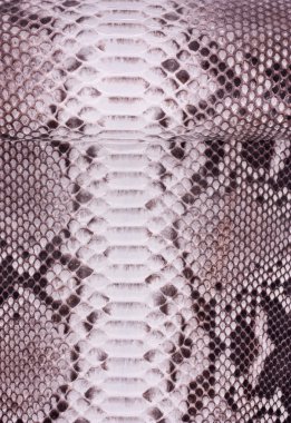 Piton yılan derisi deri arka plan, yılan derisi, doku, hayvan, sürüngen