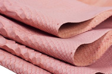 Piton yılan derisi deri arka plan, yılan derisi, doku, hayvan, sürüngen