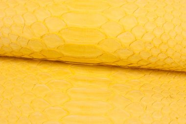 Piton yılan derisi deri arka plan, yılan derisi, doku, hayvan, sürüngen