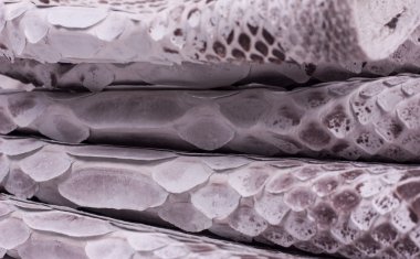 Piton yılan derisi deri arka plan, yılan derisi, doku, hayvan, sürüngen