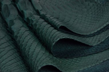 Piton yılan derisi deri arka plan, yılan derisi, doku, hayvan, sürüngen