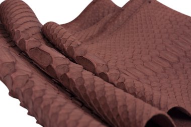 Piton yılan derisi deri arka plan, yılan derisi, doku, hayvan, sürüngen