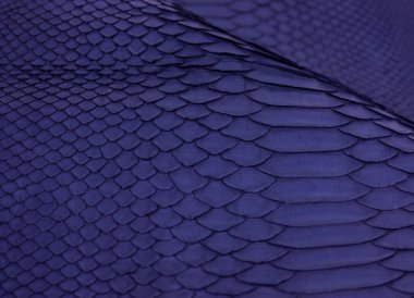 Piton yılan derisi deri arka plan, yılan derisi, doku, hayvan, sürüngen