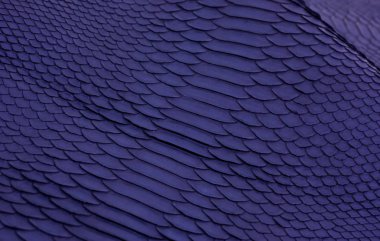 Piton yılan derisi deri arka plan, yılan derisi, doku, hayvan, sürüngen