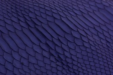 Piton yılan derisi deri arka plan, yılan derisi, doku, hayvan, sürüngen