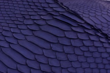 Piton yılan derisi deri arka plan, yılan derisi, doku, hayvan, sürüngen