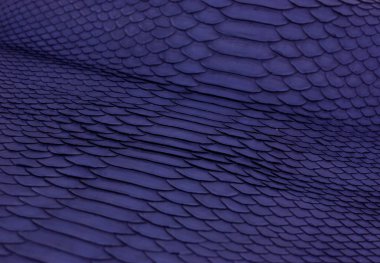 Piton yılan derisi deri arka plan, yılan derisi, doku, hayvan, sürüngen