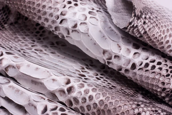 Piton yılan derisi deri arka plan, yılan derisi, doku, hayvan, sürüngen