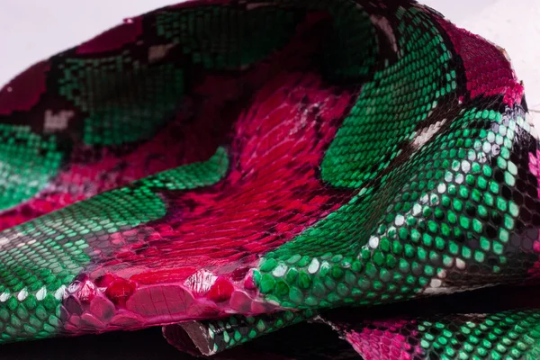 Piel de serpiente Python fondo, piel de serpiente, textura, animal, reptil — Foto de Stock