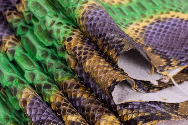 Python snakeskin 가죽 배경, 뱀 피부, 질감, 동물, 파충류 — 스톡 사진
