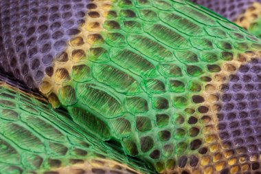 Piton yılan derisi deri arka plan, yılan derisi, doku, hayvan, sürüngen