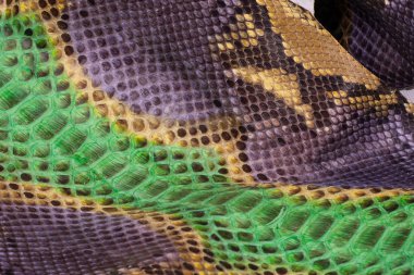 Piton yılan derisi deri arka plan, yılan derisi, doku, hayvan, sürüngen