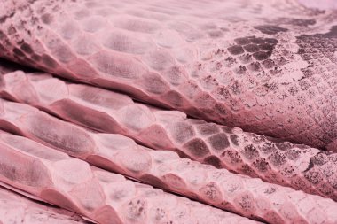 Piton yılan derisi deri arka plan, yılan derisi, doku, hayvan, sürüngen