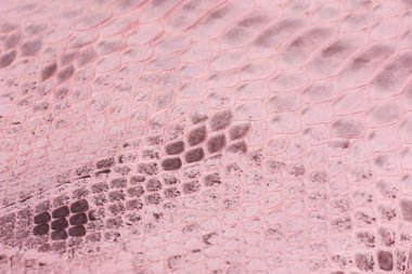 Piton yılan derisi deri arka plan, yılan derisi, doku, hayvan, sürüngen