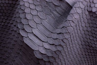 Piton yılan derisi deri arka plan, yılan derisi, doku, hayvan, sürüngen