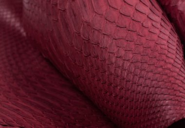 Piton yılan derisi deri arka plan, yılan derisi, doku, hayvan, sürüngen