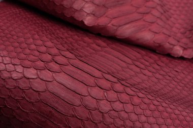 Piton yılan derisi deri arka plan, yılan derisi, doku, hayvan, sürüngen