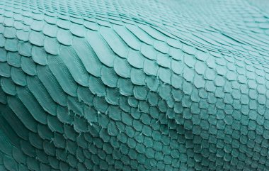 Piton yılan derisi deri arka plan, yılan derisi, doku, hayvan, sürüngen