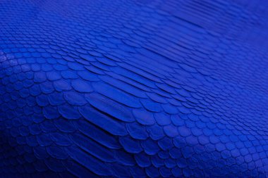 Piton yılan derisi deri arka plan, yılan derisi, doku, hayvan, sürüngen