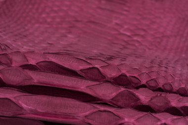 Piton yılan derisi deri arka plan, yılan derisi, doku, hayvan, sürüngen