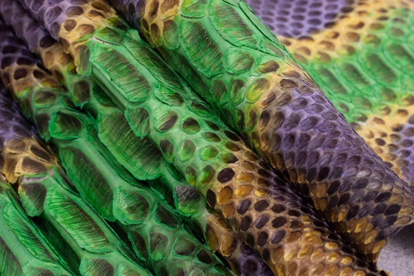 Python snakeskin leather background, snake skin, texture, animal, reptile