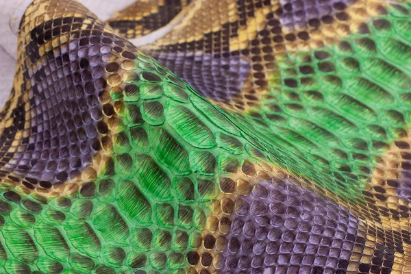 Python snakeskin leather background, snake skin, texture, animal, reptile — Stock Photo, Image