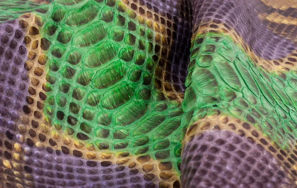 Python snakeskin leather background, snake skin, texture, animal, reptile — Stock Photo, Image