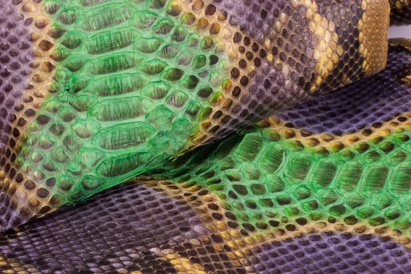 Python snakeskin leather background, snake skin, texture, animal, reptile — Stock Photo, Image