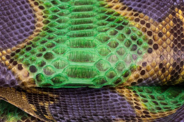 Python snakeskin leather background, snake skin, texture, animal, reptile — Stock Photo, Image