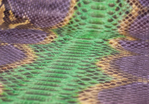 Piel de serpiente Python fondo, piel de serpiente, textura, animal, reptil — Foto de Stock