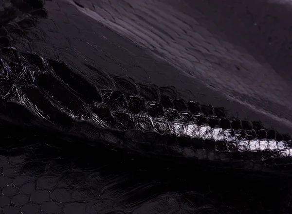 パイソン蛇革背景の蛇の皮、テクスチャ、動物、爬虫類 — ストック写真