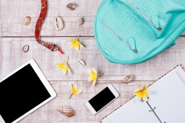 Bayanlar moda aksesuarları. Lüks el yapımı yılan derisi (python) sırt çantası, plumeria, tablet, smartphone, defter, kabukları