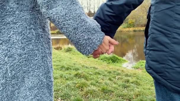 Egy fiatal pár fogja egymás kezét. Autumn Parkban. Lassított felvétel. — Stock videók