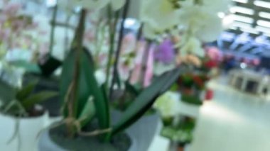 İçerideki çiçekçi arka plan görüntülerini bulanıklaştırdı.