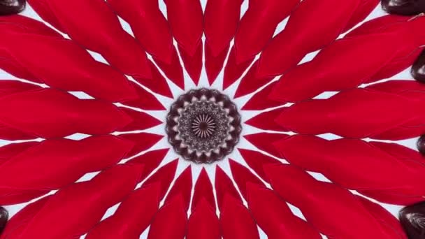 Red abstract human background. Geometric red footage. — 图库视频影像