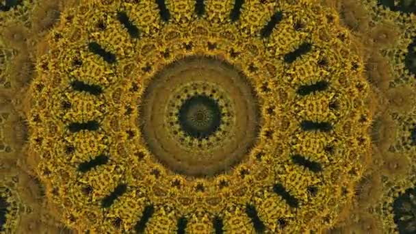 Fondo abstracto de fantasía. Caleidoscopio geométrico, fractal de mandala. — Vídeo de stock