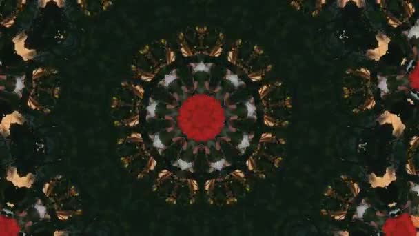 추상적 인 환상의 배경. Geometric kaleidoscope, mandala fractal. — 비디오