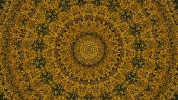 Abstrakt fantasi bakgrund. Geometriskt kalejdoskop, Mandala fractal. — Stockvideo