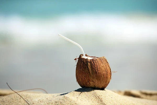 Frash Coconut op zee achtergrond — Stockfoto