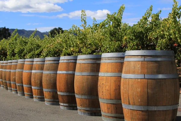 Wine barrels in Napa — Stok fotoğraf