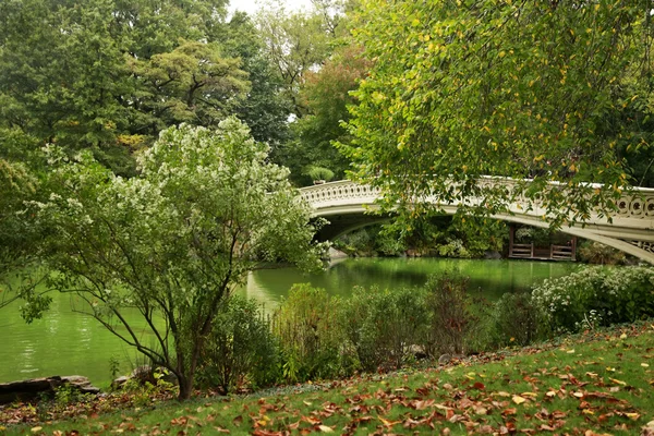 Central Park in New York Stock Picture