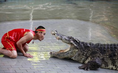 Tayland timsah gösterisi