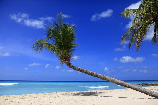 Schöner Sonnenuntergang am Strand — Stockfoto